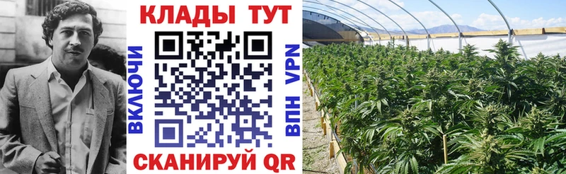 Купить наркотики Пролетарск Cocaine  Гашиш  Амфетамин  МЕТАДОН  Марихуана 