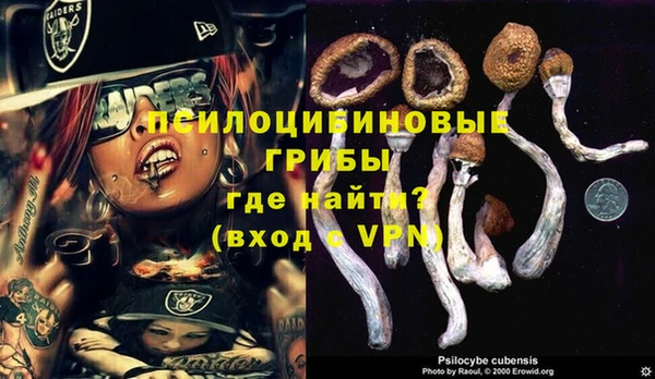 первитин Алексин