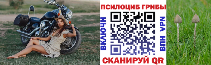 купить   Пролетарск  Галлюциногенные грибы ЛСД 